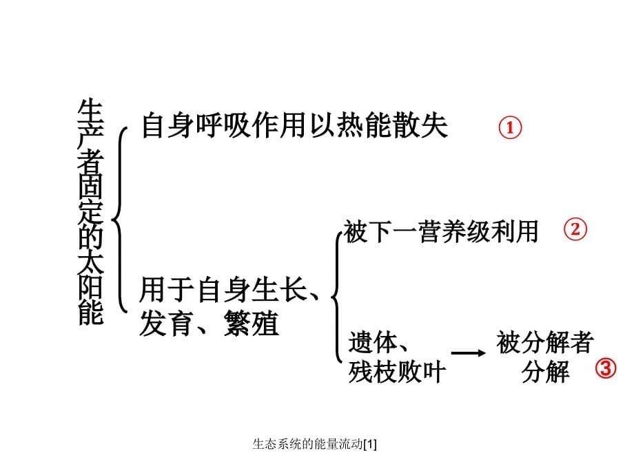 生态系统的能量流动1_第5页