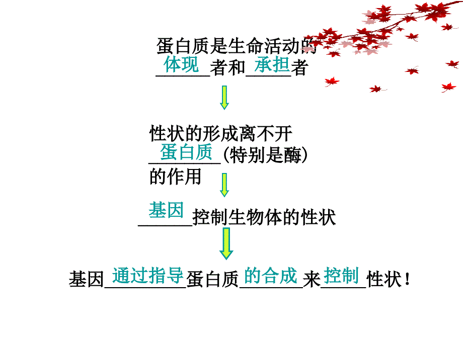 xiaofang第一节基因知道蛋白质的合成.ppt_第1页