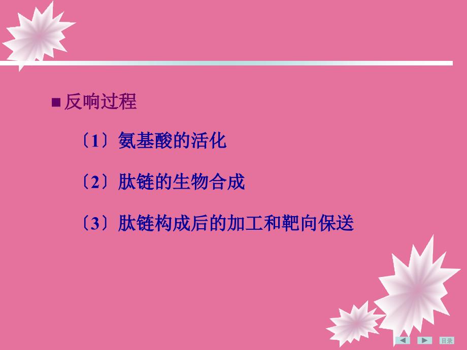 第十二章蛋白质生物合成ppt课件_第4页