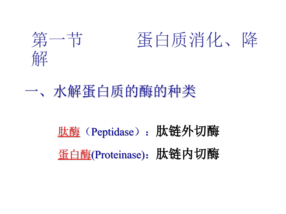 蛋白质的酶促降解和氨基酸代谢_第2页