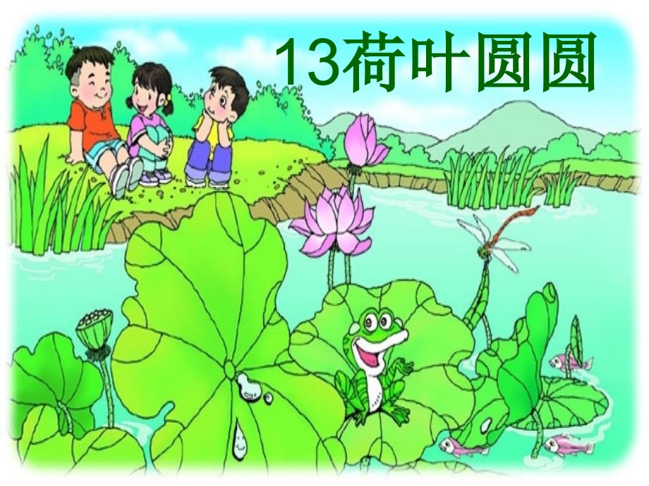 13荷叶圆圆ppt课件_第3页