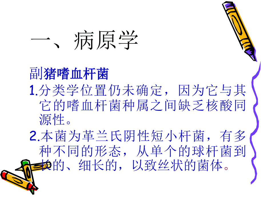 《副猪嗜血杆菌感染》PPT课件_第3页