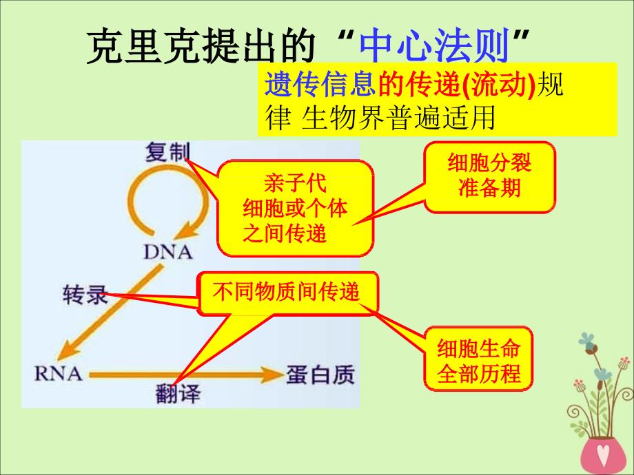 江西省南昌市高中生物 第四章 基因的表达 4.2 基因对性状的控制课件 新人教版必修2_第2页