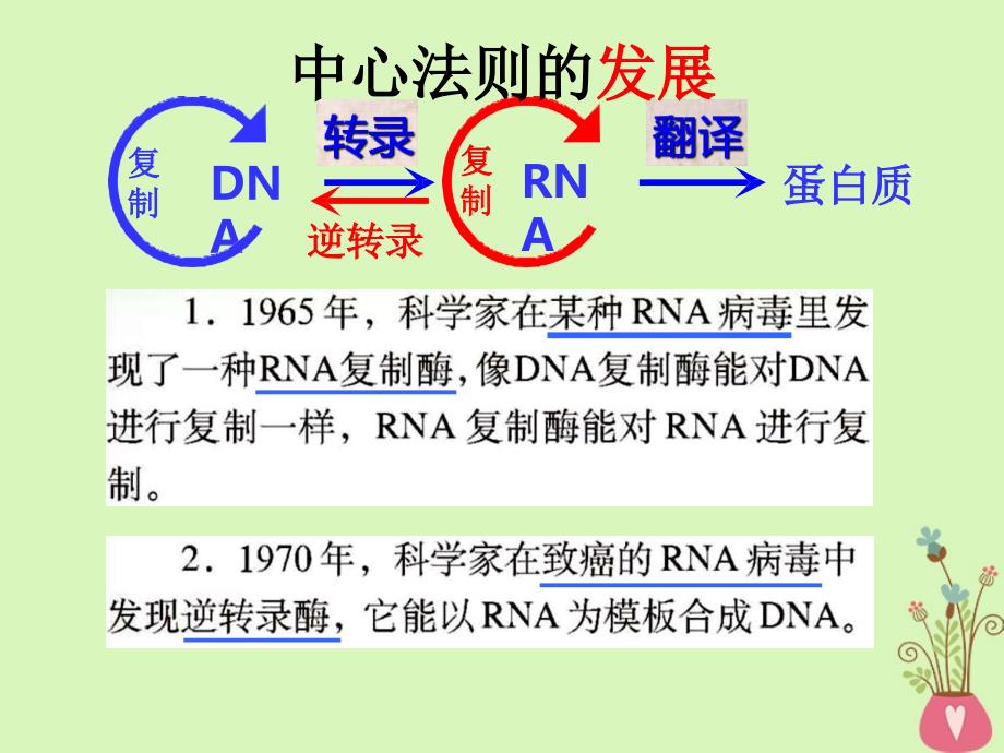 江西省南昌市高中生物 第四章 基因的表达 4.2 基因对性状的控制课件 新人教版必修2_第3页