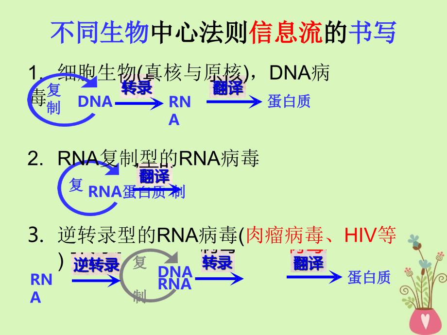 江西省南昌市高中生物 第四章 基因的表达 4.2 基因对性状的控制课件 新人教版必修2_第4页