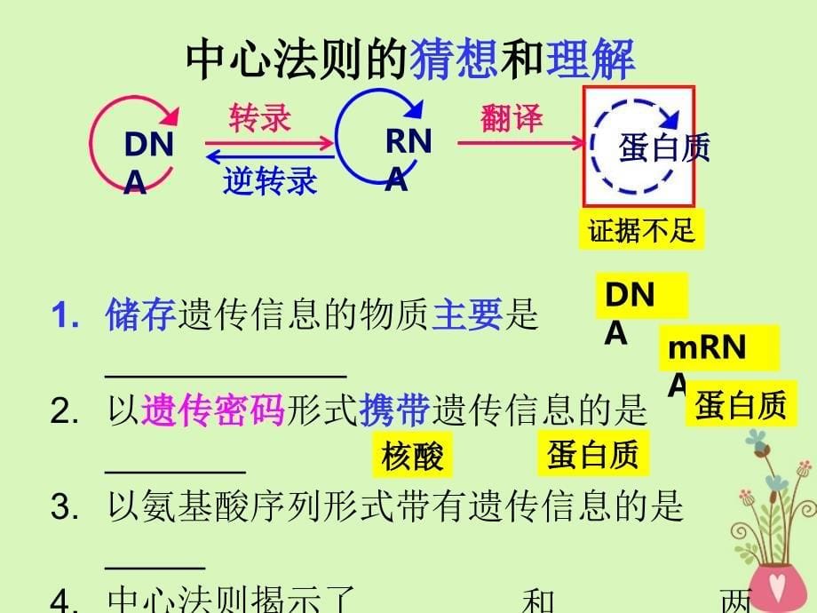 江西省南昌市高中生物 第四章 基因的表达 4.2 基因对性状的控制课件 新人教版必修2_第5页