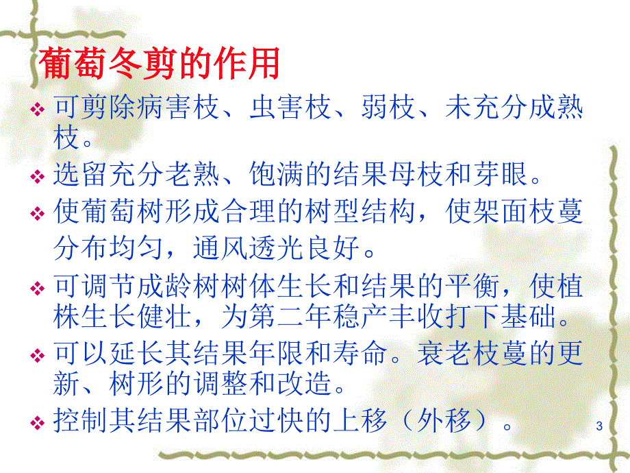 第五部分红提冬季_第3页