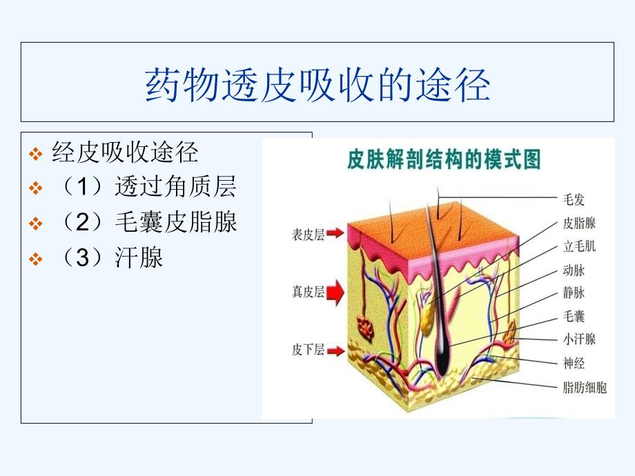 皮肤科外用药物使_第2页