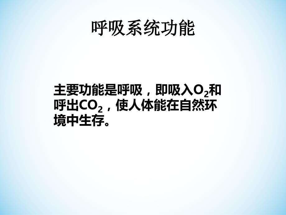 呼吸系统生理解剖_第4页