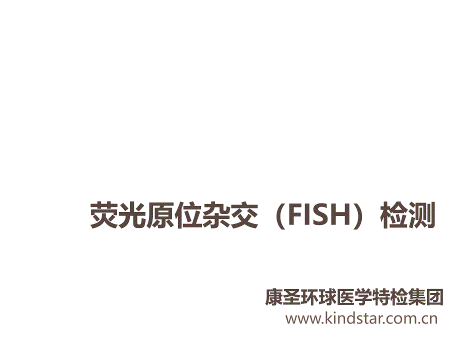 荧光原位杂交(FISH)检测.ppt_第1页