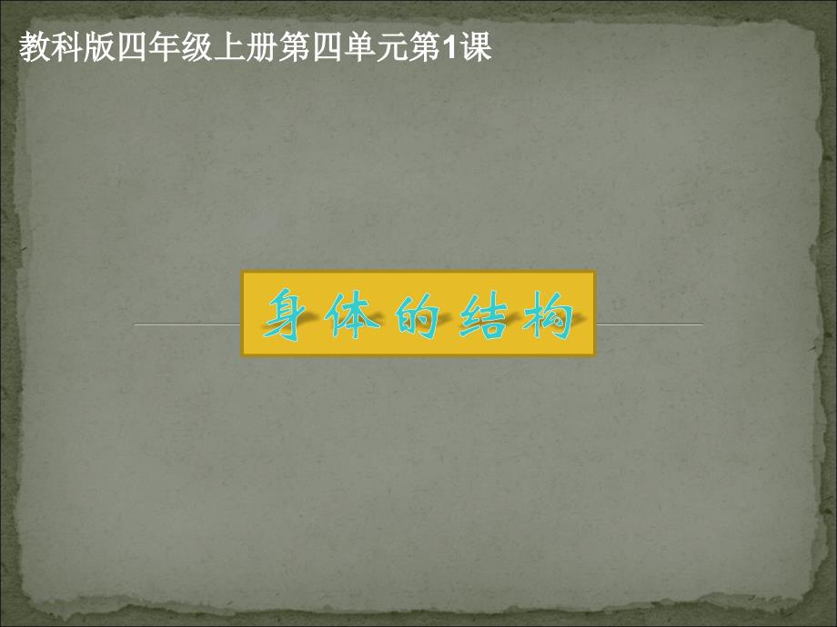 四上四1身体的结构_第1页
