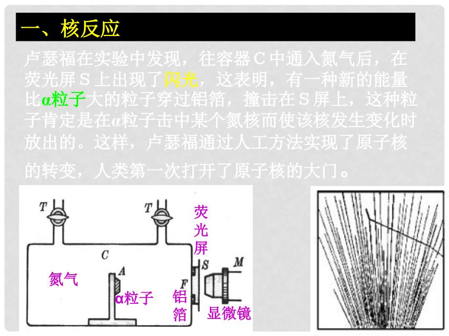 高中物理第十九章原子核第四节放射性的应用与防护课件人教版选修3－5_第2页