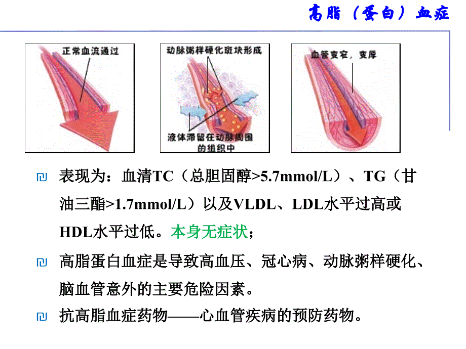 最新：调血脂药教课件文档资料_第3页