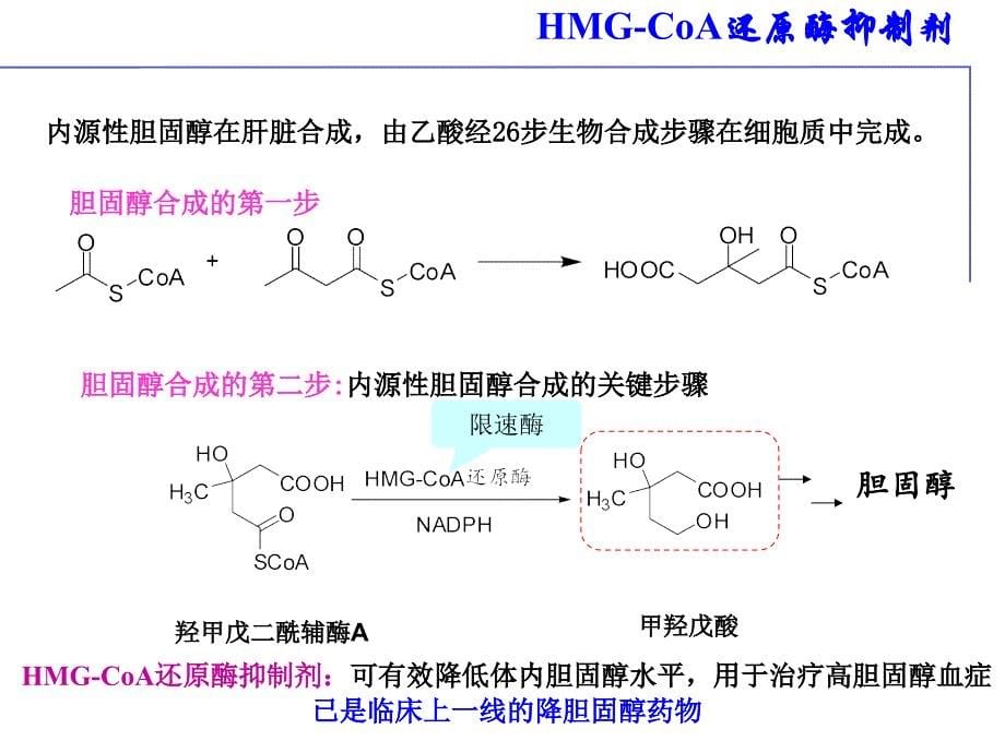 最新：调血脂药教课件文档资料_第5页