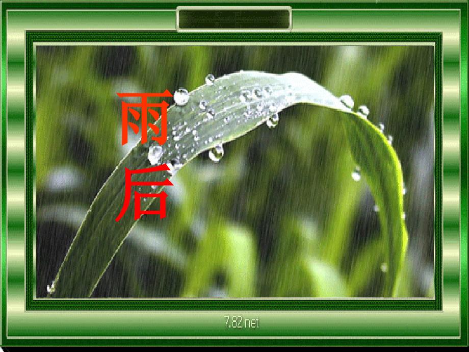 《雨后》课件 (2)_第1页
