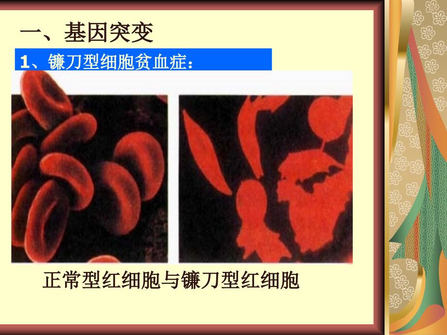 高中生物必修2基因突变基因重组课件.ppt_第2页