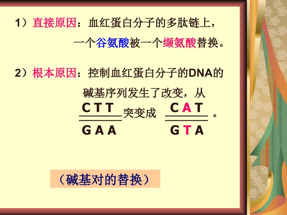 高中生物必修2基因突变基因重组课件.ppt_第4页