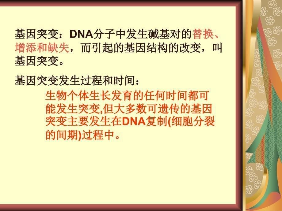 高中生物必修2基因突变基因重组课件.ppt_第5页