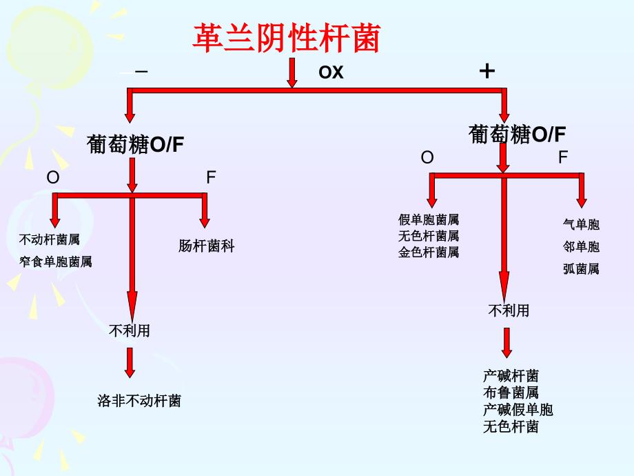 微生物检验第八章非发酵阴杆_第3页