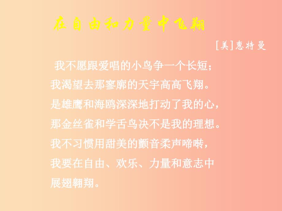 2019年七年级语文上册第六单元第25课在自由和力量中飞翔课件4沪教版五四制.ppt_第3页