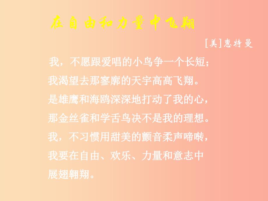 2019年七年级语文上册第六单元第25课在自由和力量中飞翔课件4沪教版五四制.ppt_第4页