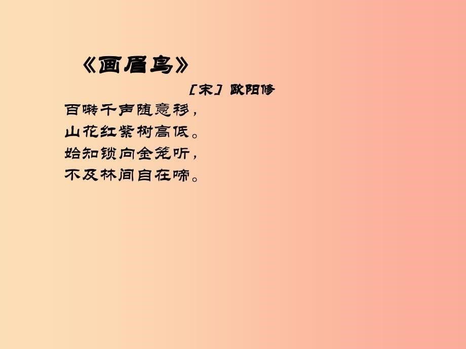 2019年七年级语文上册第六单元第25课在自由和力量中飞翔课件4沪教版五四制.ppt_第5页