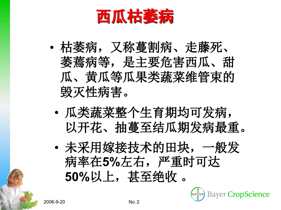 西瓜病虫害防治技术.ppt_第2页