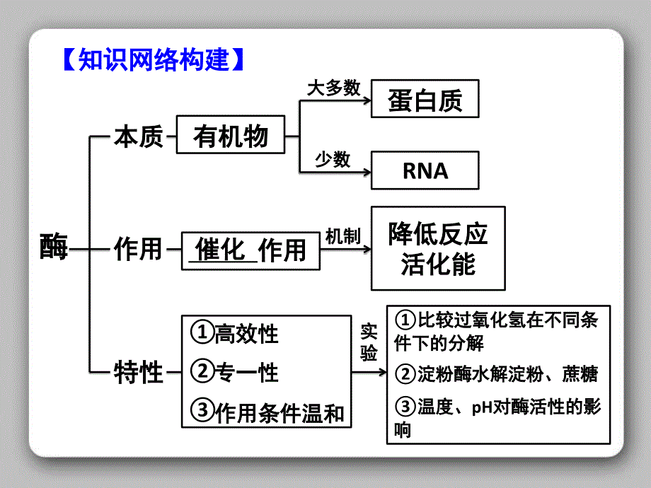 酶的本质和作用高三复习_第3页