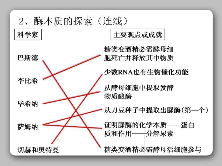 酶的本质和作用高三复习_第5页