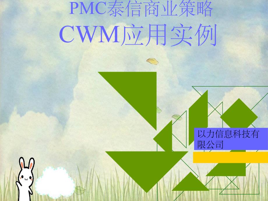 PMC泰信商业策略CWM应用实例_第1页