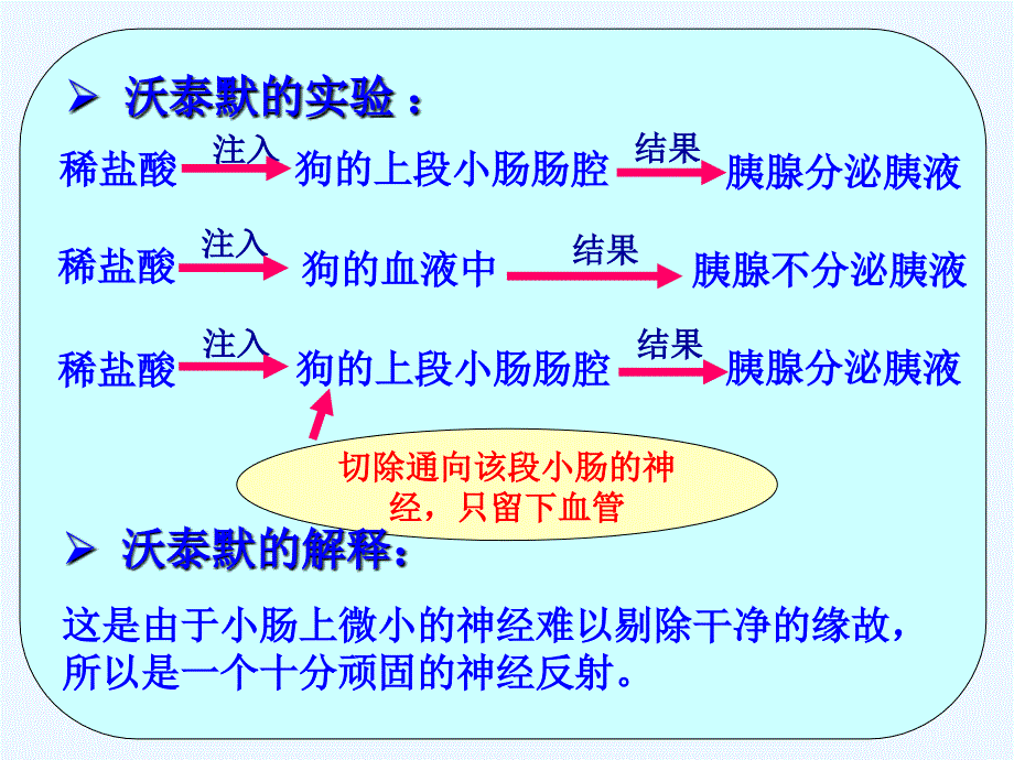 通过激素的调节2_第3页