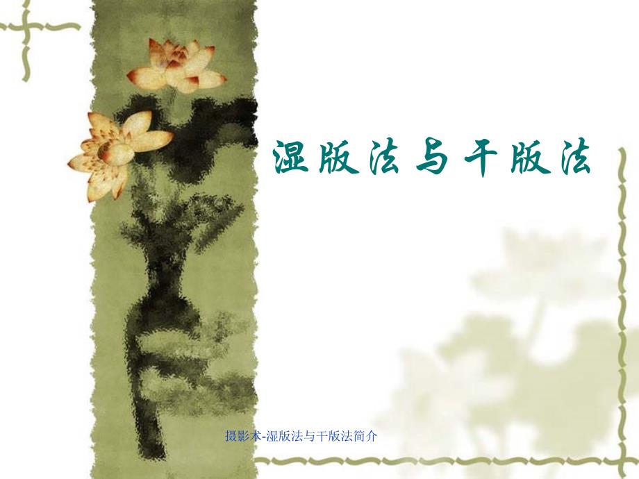 摄影术-湿版法与干版法简介课件_第1页