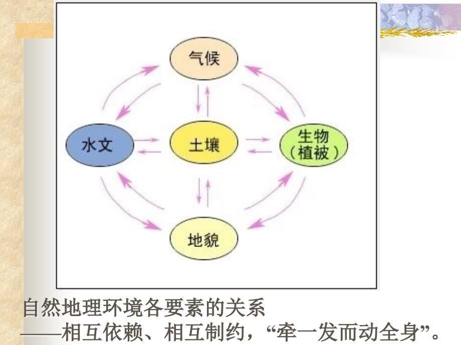 自然地理要素变化与环境变迁——一轮复习_第5页