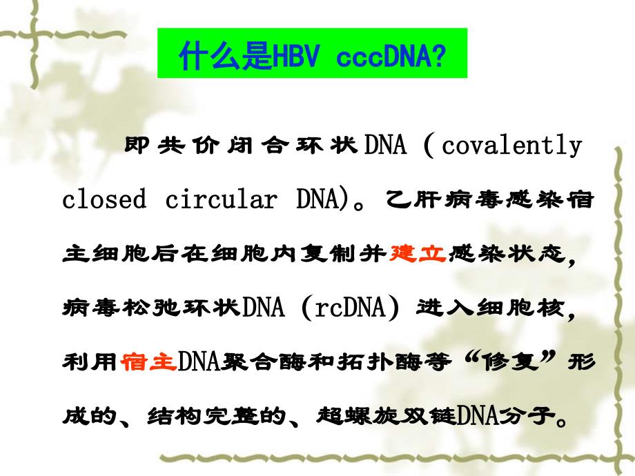 乙肝病毒cccDNA检测_第3页