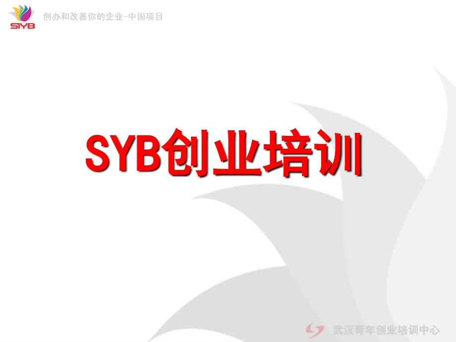 SYB第一步到十步课件_第1页