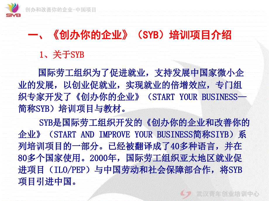 SYB第一步到十步课件_第2页