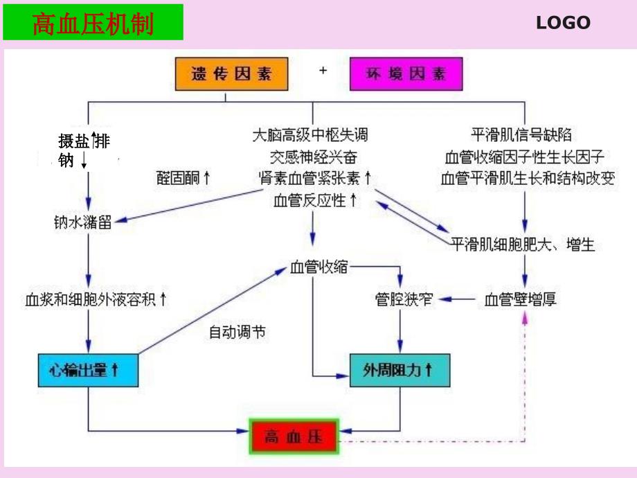 抗高血压1ppt课件_第4页