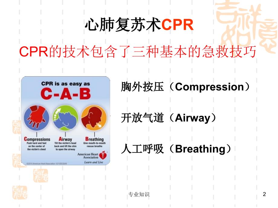 心肺复苏指南专业荟萃_第2页