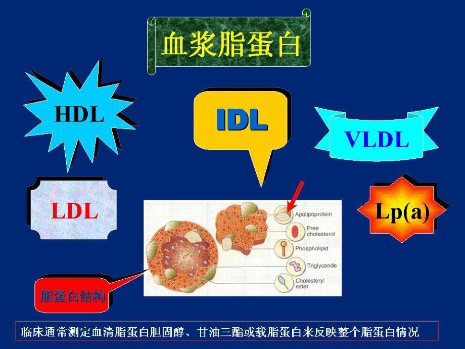 关于临床血脂测定的建议.ppt_第5页