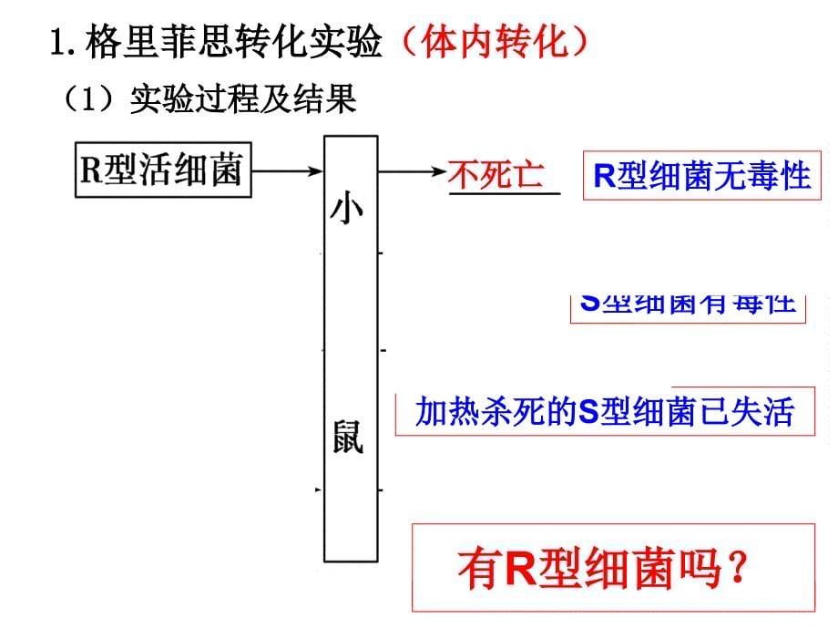 17DNA是主要的遗传物质_第5页