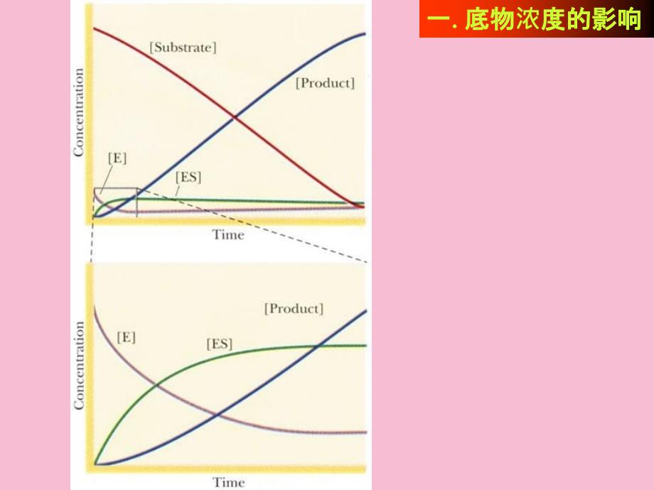 酶动力学及影响酶反应速度的因素ppt课件_第3页