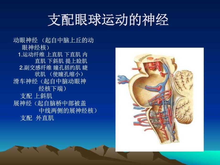 痛性眼肌麻痹临床医学医药卫生专业资料.ppt_第4页