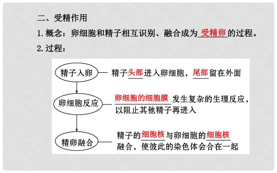高中生物 第2章 第1节 第2课时受精作用名师课件 新人教版必修2_第4页