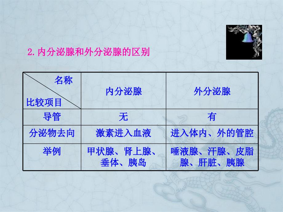 最新gg第6章第4节发生在肺内的气体交换七年级下册课件文档_第4页