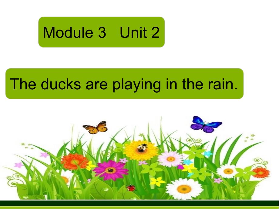 Module 3 Unit 2 The ducks are playing in the rain._第2页