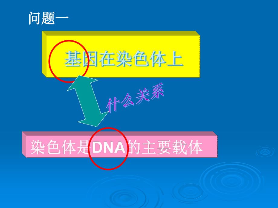 基因是有遗传效应的dna片段好_第3页