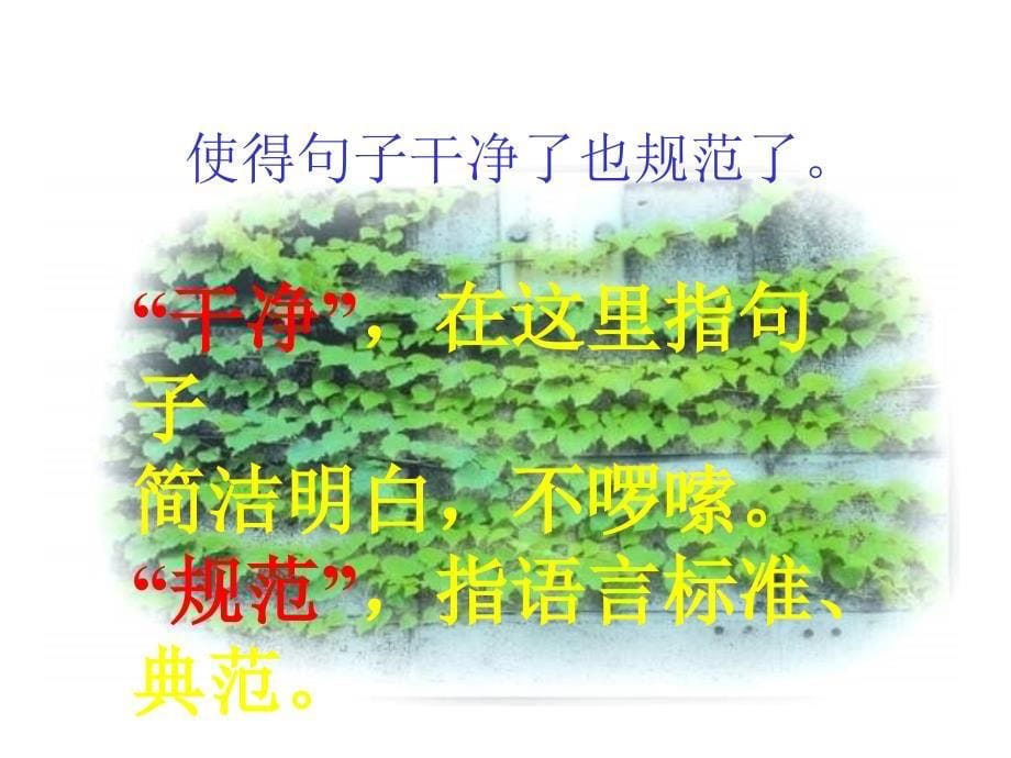 7那片绿绿的爬山虎_第5页