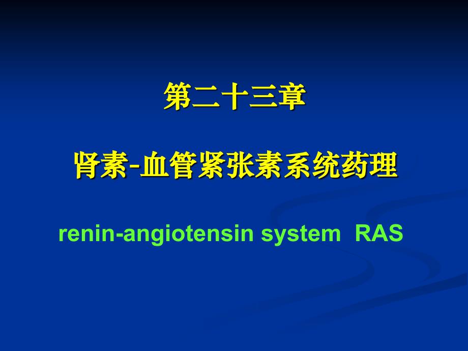 地二十三章肾素血管紧张素_第1页