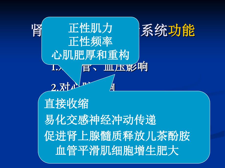 地二十三章肾素血管紧张素_第2页