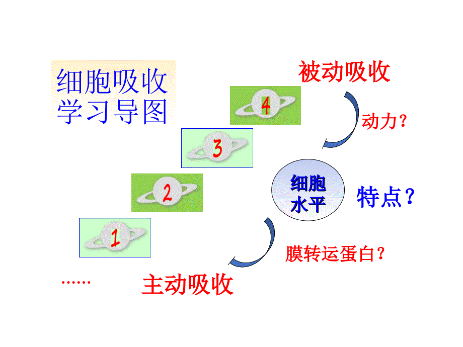 第二章矿质营养吸收植物_第4页